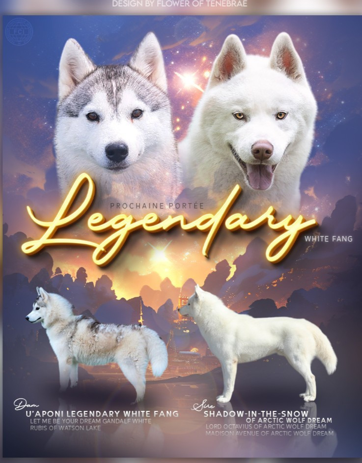 NAISSENCE PREVUE AU ALENTOUR DU 11 DECEMBRE