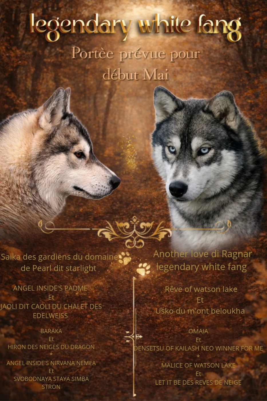 NAISSENCE PREVUE AU ALENTOUR DU 2 MAI